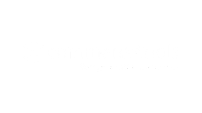 partner-commercetools-logo-white
